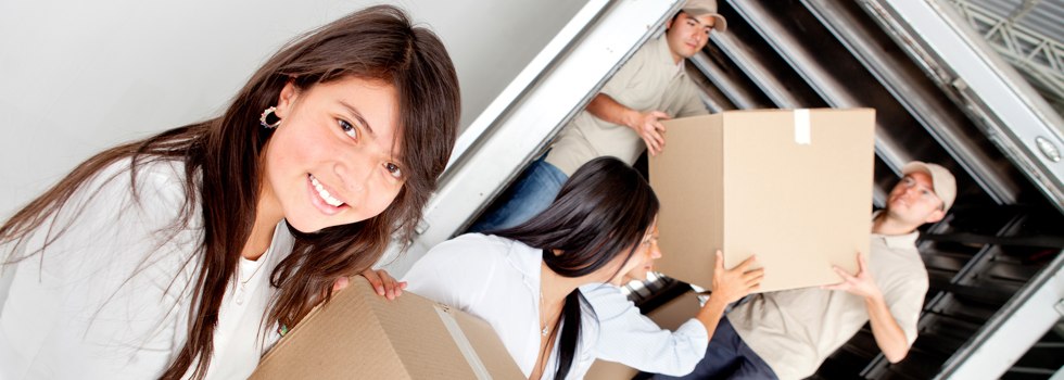Professional Removalists Neales Flat